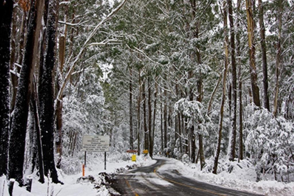 Marysville Holiday Park Eksteriør bilde